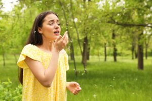 allergy season